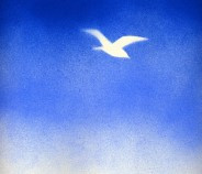 gesprühtes Bild einer weißen Taube am blauen Himmel
