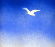 gesprühtes Bild einer weißen Taube am blauen Himmel