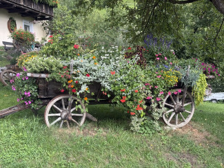 Blumenwagen 