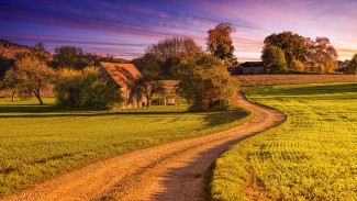 Weg im Abendlicht